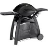 Weber Gasgrill Q 3000 Schwarz Mit 2 Brennern