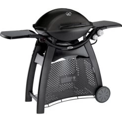 Weber Gasgrill Q 3000 Schwarz Mit 2 Brennern