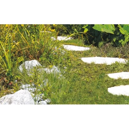 Einhell Akku-Gras- Und Strauchschere GC-CG 3,6 Li – Bild 7